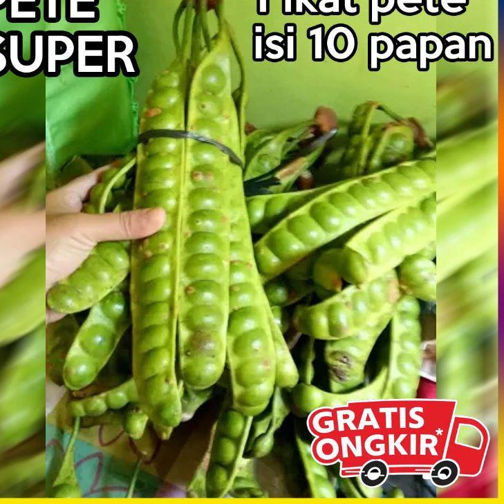 

STAR paket 10 papan pete segar / 1 ikat