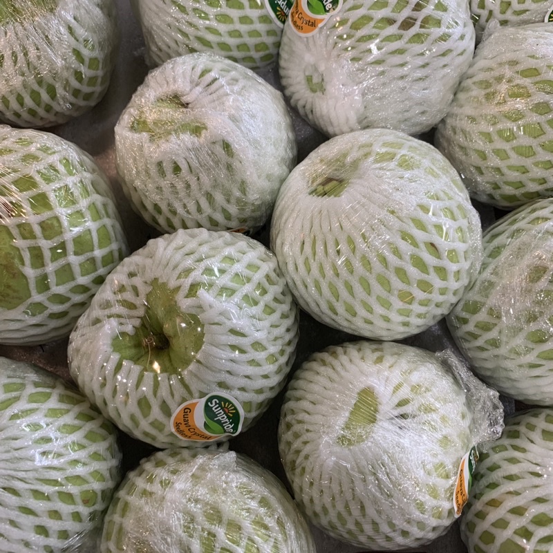 JAMBU | BUAH JAMBU | (KHUSUS SAMEDAY DAN INSTAN)