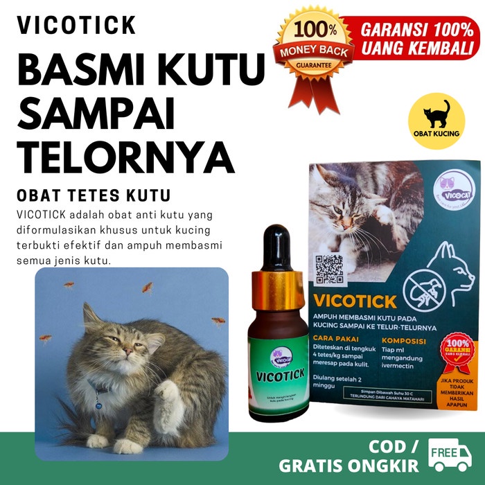 OBAT KUTU KUCING AMPUH VICOTICK BASMI KUTU SAMPAI TELORNYA AMAN KITTEN