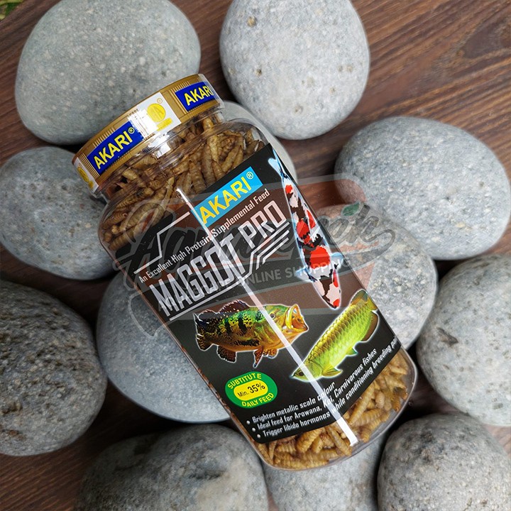 AKARI MAGGOT PRO 100GR PAKAN IKAN ARWANA KOI LOUHAN PREDATOR KELABANG