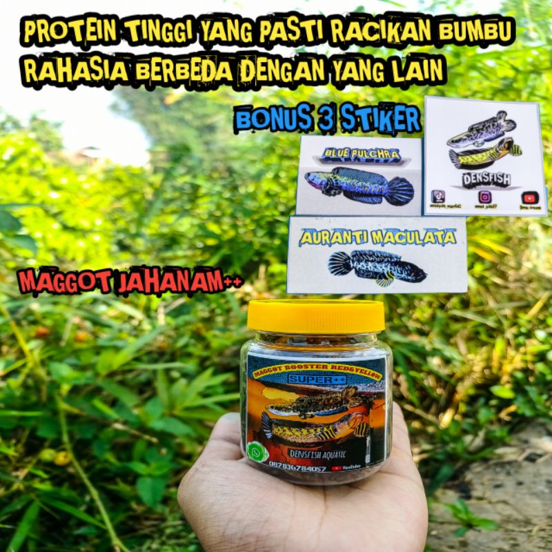 MAGGOT SUPER JAHANAM BOOSTER BUNGA+WARNA