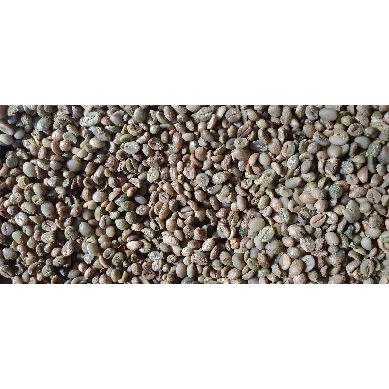 

green bean kopi Lampung