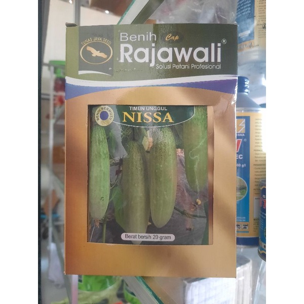BENIH TIMUN NISSA RAJAWALI 20GR
