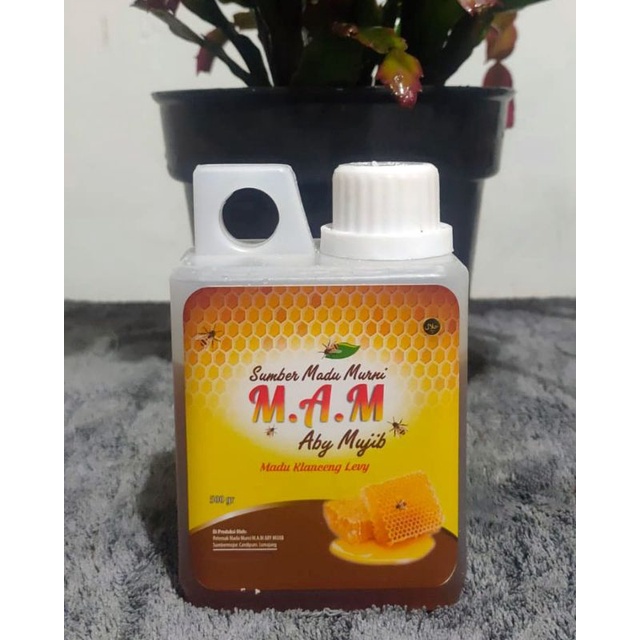 madu klanceng Levi lumajang 500gram