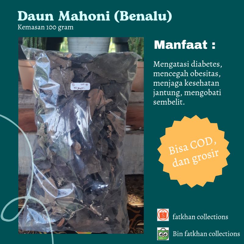 

Daun Mahoni Kering