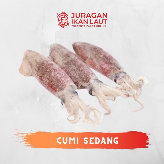 

Cumi Cumi Sedang Isi 10~ 19 Segar Berkualitas - 1 Kilogram