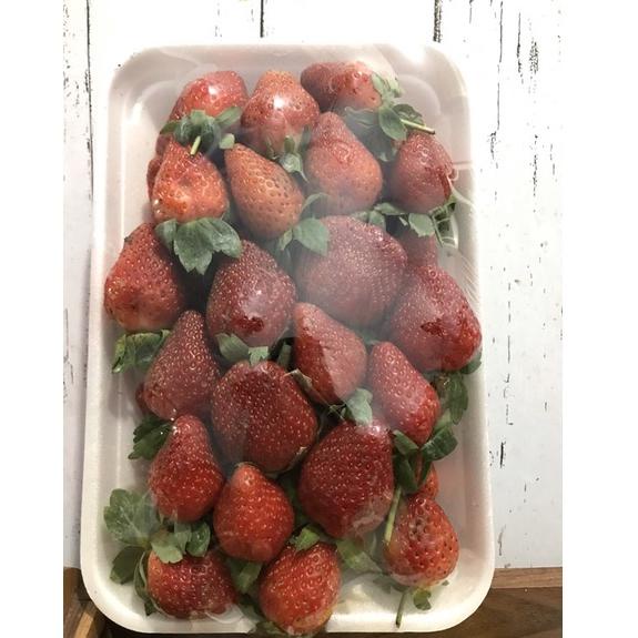 

TERLARIS strawberry Bandung ༄ 858