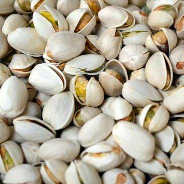 

Termurah Kacang Fustuk Pistachios Pistachio Fustuck Arab 1kg 1 kg 1000gr 1000 gr ↑