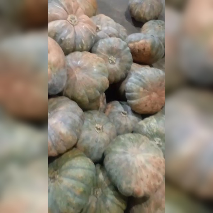 Labu Kuning / Pumpkin 500g / 1kg / 1 Buah Utuh Promo Bandung | Asih Sadulur Mart