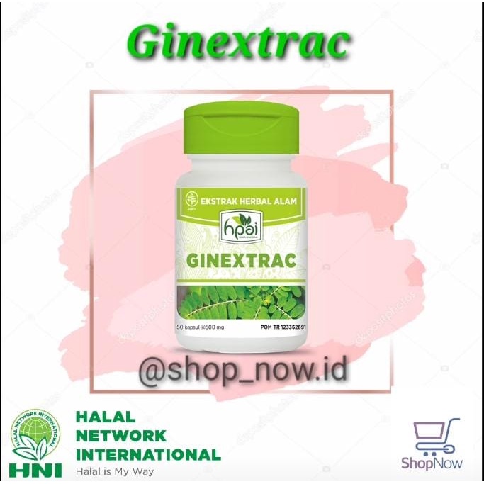 Ginextrac kapsul hni hpai || membantu meluruhkan batu ginjal