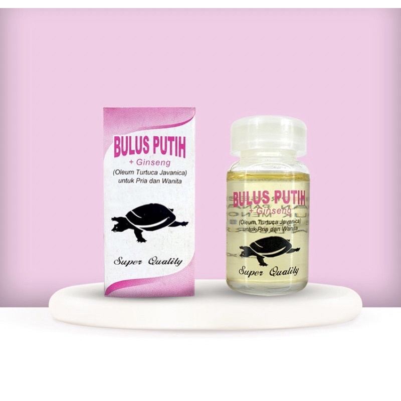 MINYAK BULUS ORIGINAL / MINYAK BULUS PUTIH ORIGINAL