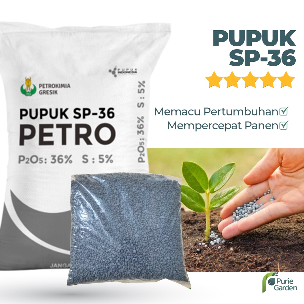 Pupuk SP 36 Penyubur dan Pembenah Tanah 500gr PG KDR