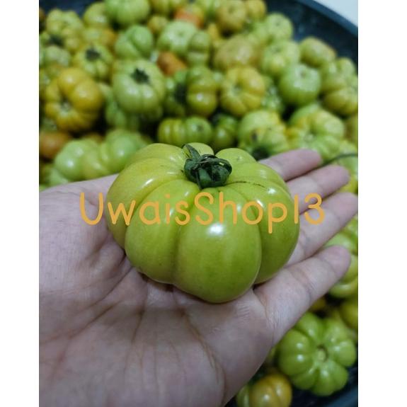 

[I(1)R ☎] Tomat ranti ( tomat khusus sambel tempong khas Banyuwangi ) berat 500gr.-pasti dikirim