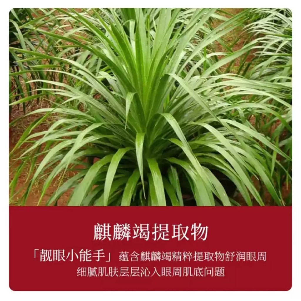 Veze Masker Mata Penghilang Kerutan Dan Mencerahkan Kulit 80 Gram LS