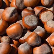 

SALE!!Sirup Hazelnut/ Hazelnut Syrup Minuman GKC Heritage 640 ml (Import Quality)|KD7