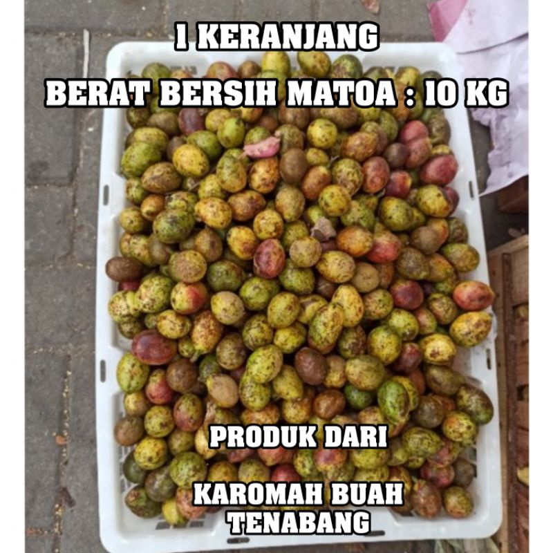 

READY STOK!!! BUAH MATOA PER 1 KRAT : 10 KG | GROSIR BUAH MATOA MANIS