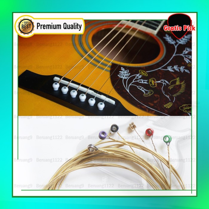 Senar Gitar Akustik Daddario EXP15 PREMIUM QUALITY D'Addario Strings