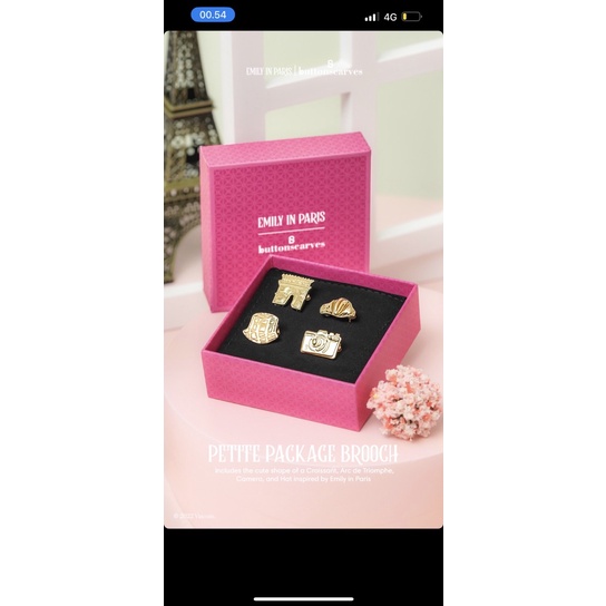 emily petite package Brooch by buttonscraves