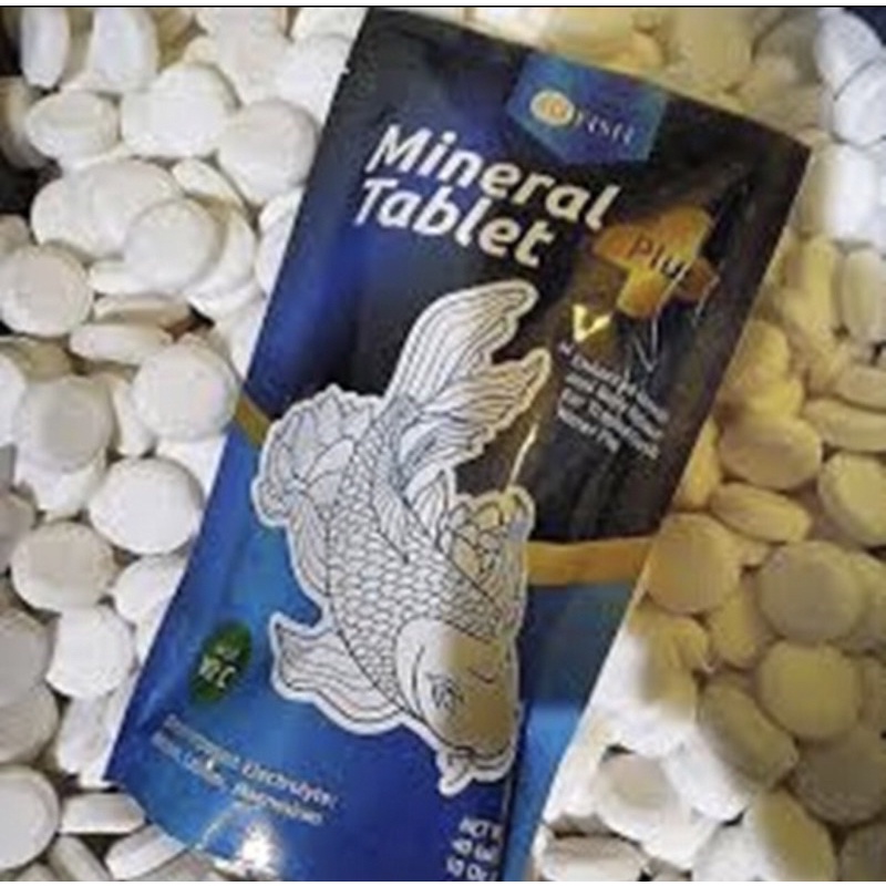 ECERAN MINERAL TABLET PLUS VITAMIN C GARAM GAREM IKAN 1 TABLET