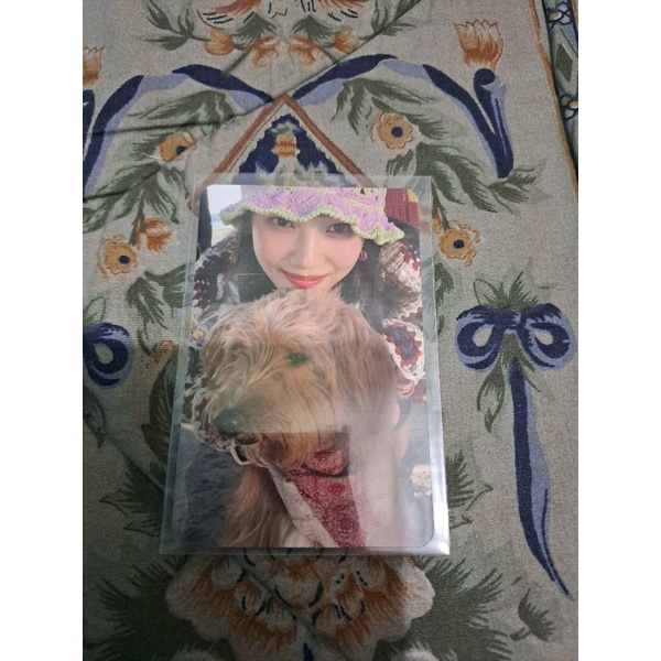 photocard joy red velvet hello pc album joy benji official