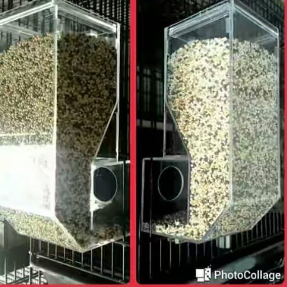 ⇖ Wadah pakan akrilik / tempat makan burung ぱ