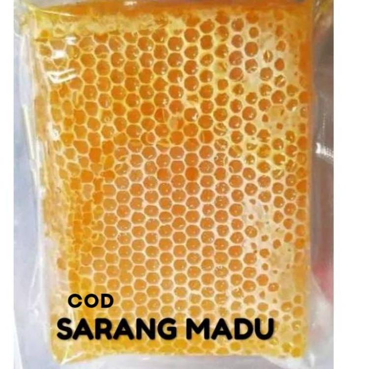 

SERBA MURAH Terlaris!!! Sarang Madu Asli Melifera/Cerana ➤ 883