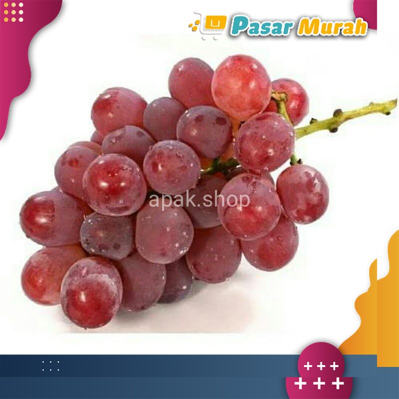 

Buah Anggur Merah 500 gr | Fresh Fruit | PASAR MURAH MEDAN