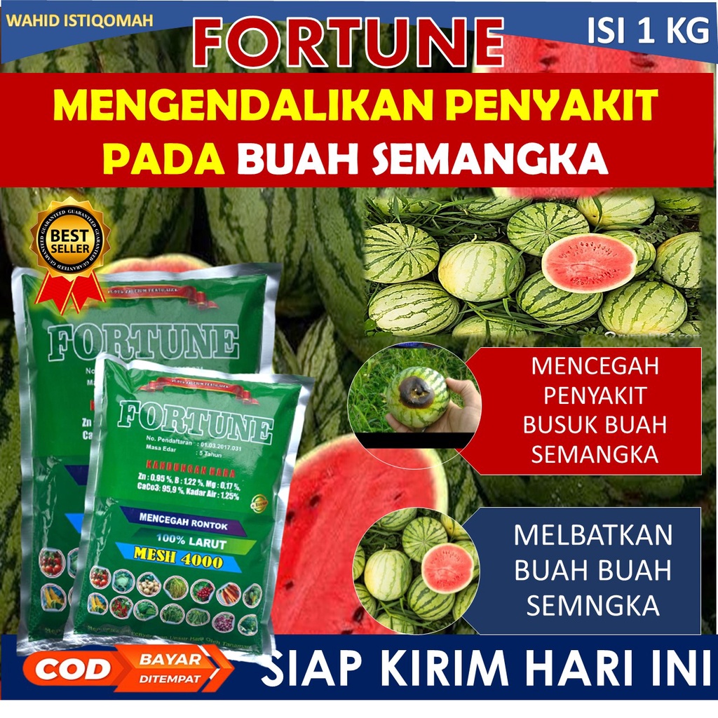 (Promo)1 kg fortune obat penyubur tanaman semangka - obat layu daun semangaka - obat busuk buah sema