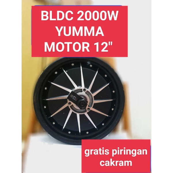 BLDC 2000W YUMMA MOTOR 12"