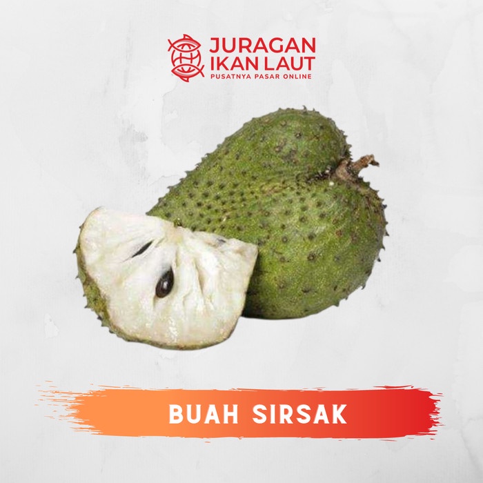 

Buah Sirsak Segar Berkualitas - 1 Kilogram