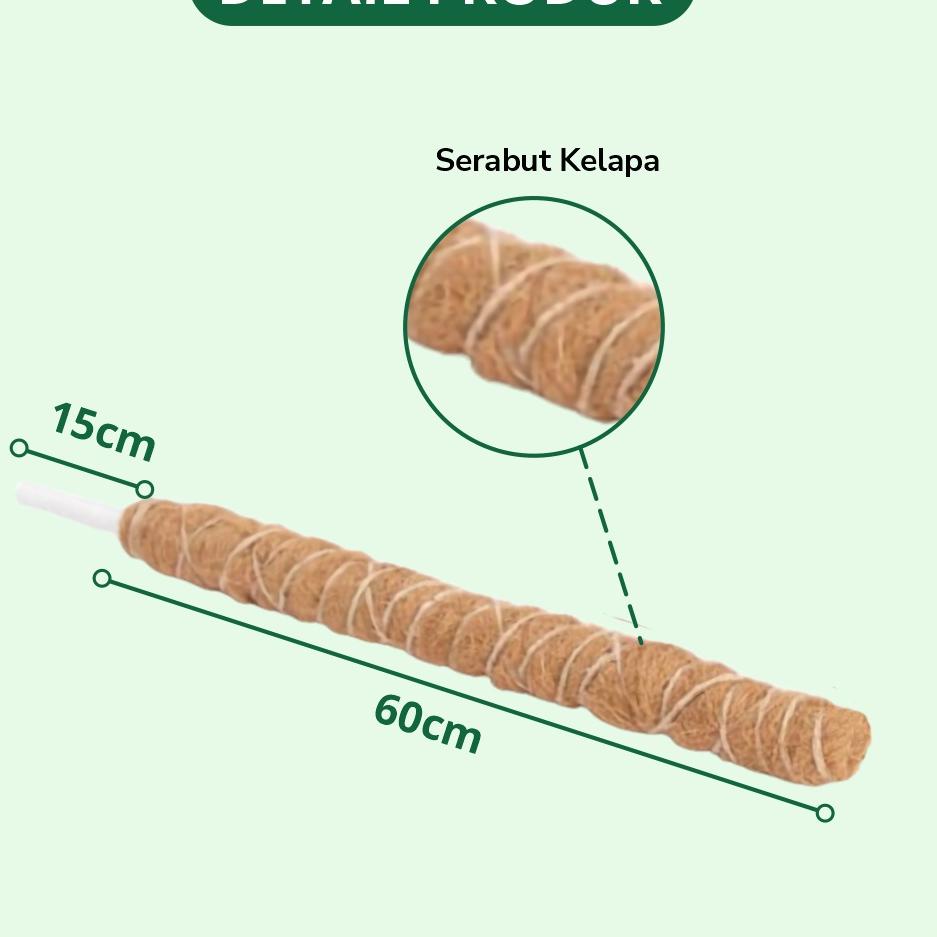 ↢ INFARM - Turus Penyangga Tanaman Rambat 60 cm Sabut Kelapa Turus Sabut Kelapa ㆇ