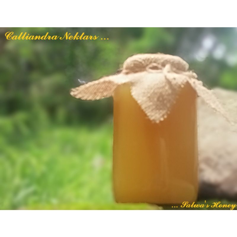 

Madu Kaliandra putih