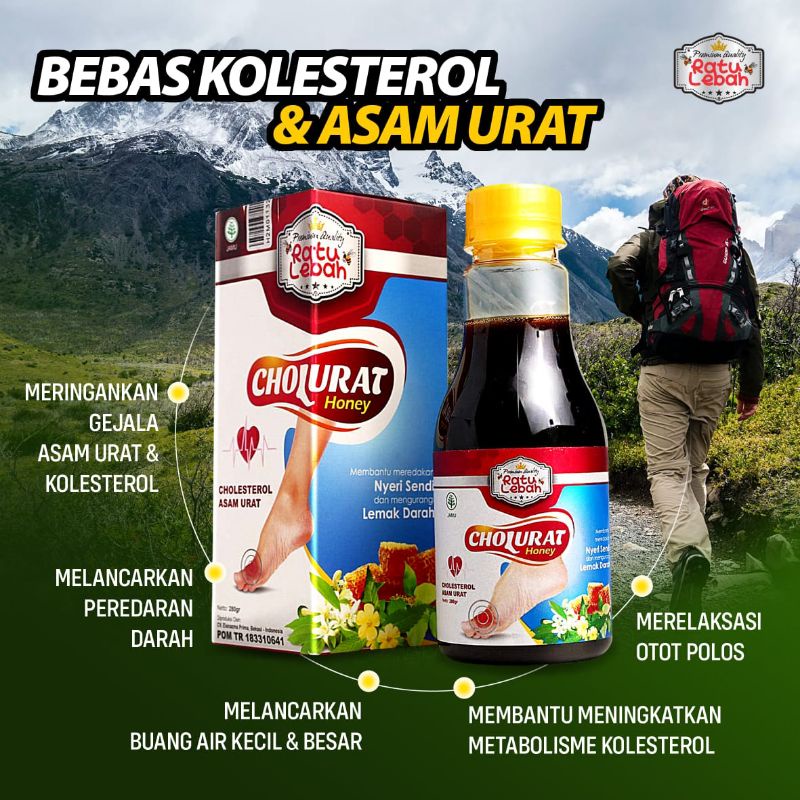 

CHOLURAT OBAT ASAM URAT