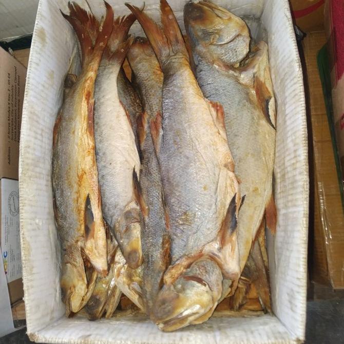 

ikan Asin kuro es qualitas export 500gr