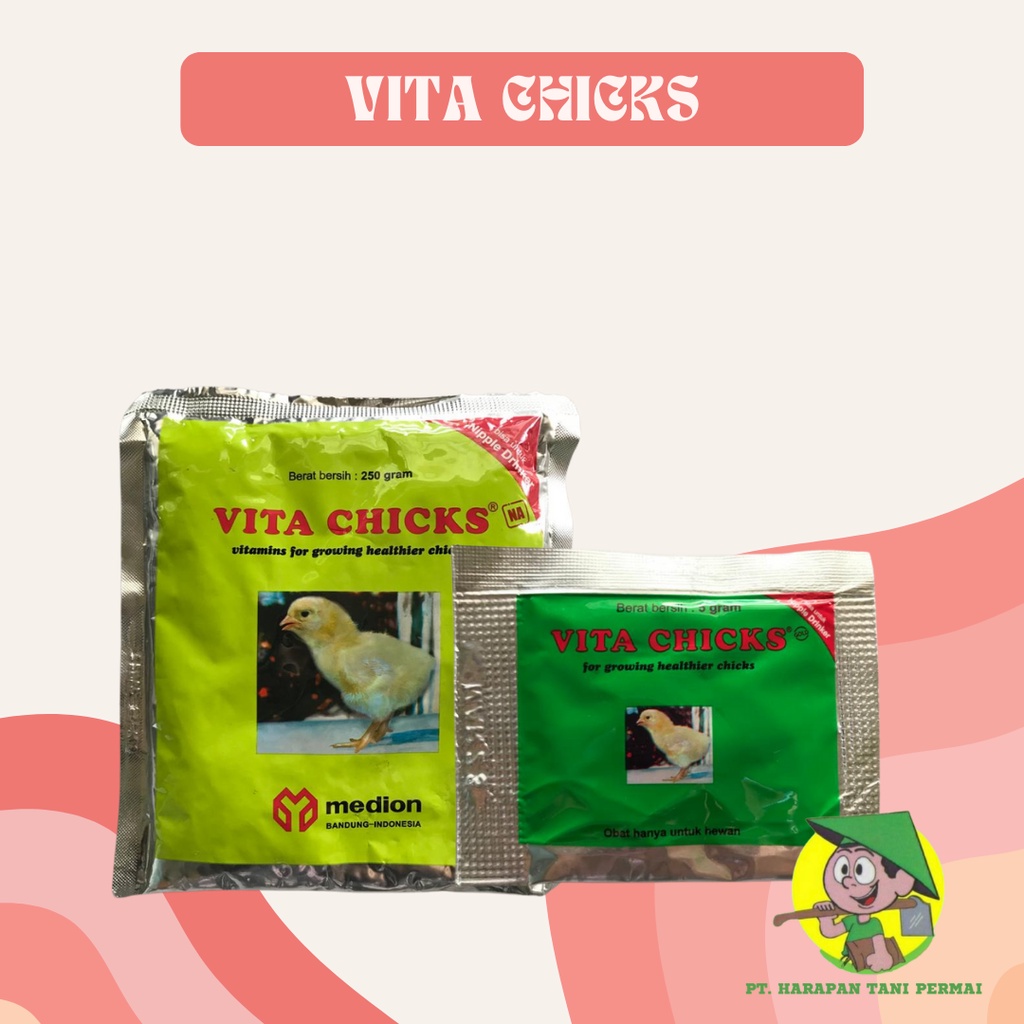 VITA CHICK Vitamin Ayam +Antibiotik