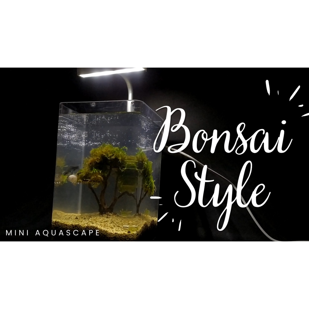 Mini Aquascape / Aquarium FULLSET - BONSAI Style Paket Lengkap