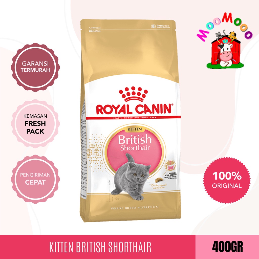 Royal Canin Kitten British Shorthair Makanan Kucing British Short Hair Kitten 400gr dry food