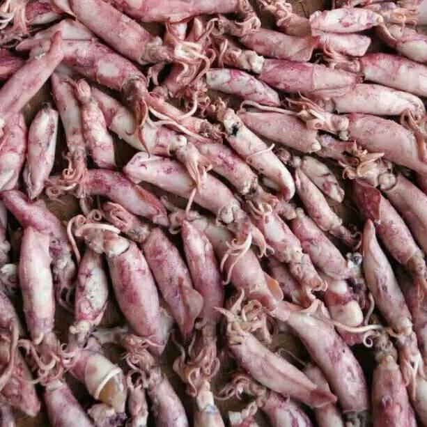 

㊮ OBRAL!!!Cumi baby asin kering 200 gram せ