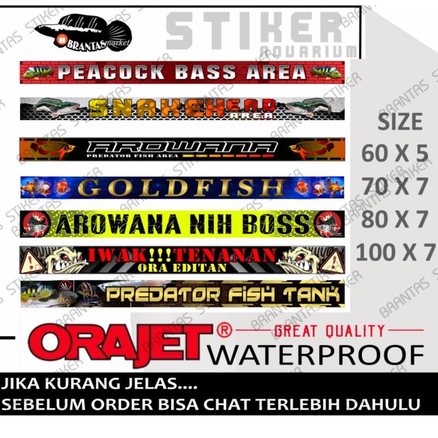 ㍻ stiker aquarium predator fish/arwana/peacock bass/channa/oschar dll ㄱ