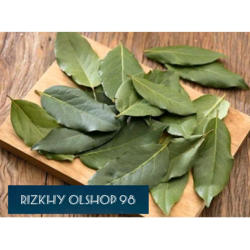 

Daun Salam Segar Setiap Hari