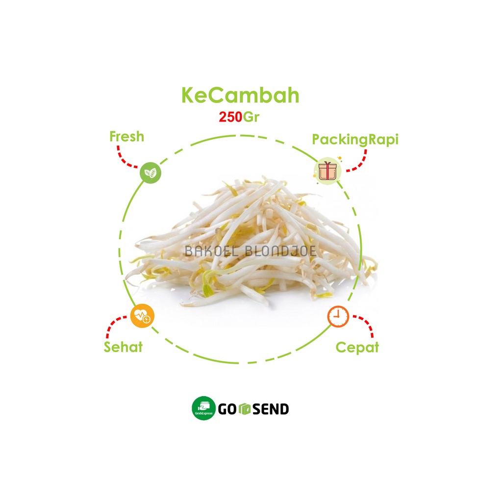 

KECAMBAH 250gr / TAUGE / CAMBAH SAYUR MURAH DAN SEGAR / SPROUTS / FRESH VEGETABLES / SAYURAN