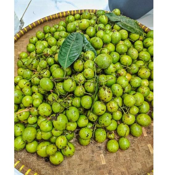 

[New](D31F)☎ Buah Jatake Gandaria 500gr No po siap kirim langsung kirim