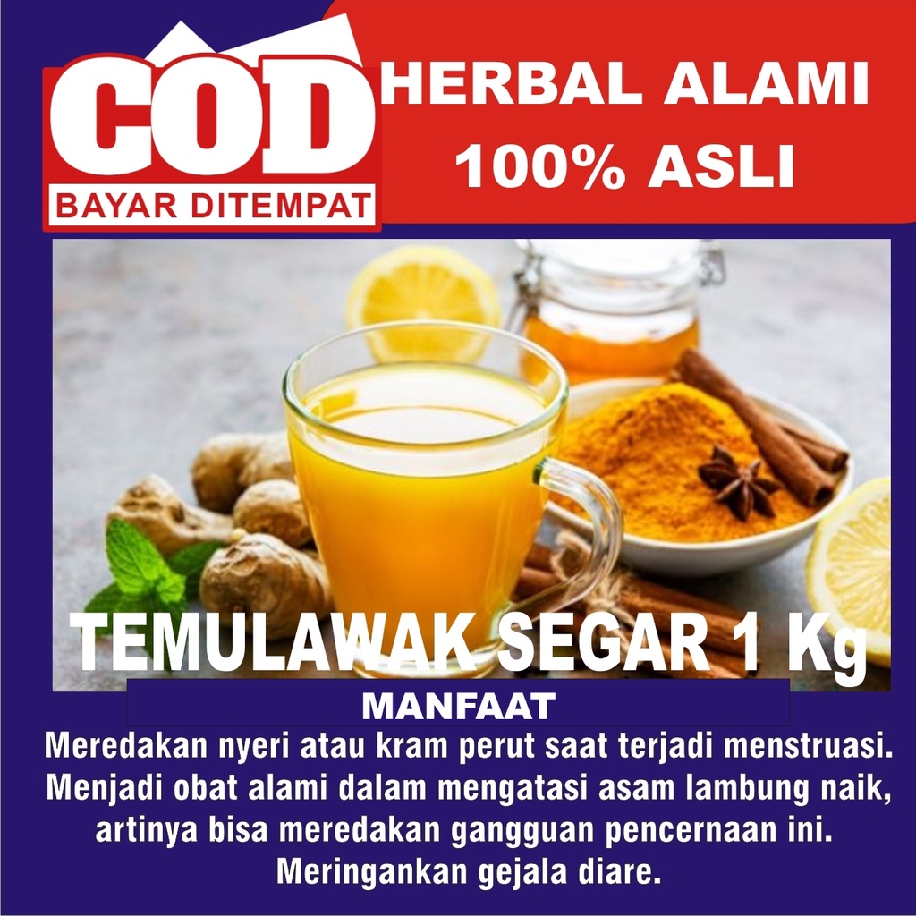 

Temulawak Original 1 KG | cheapest ginger 1 KG | Temulawak Basah Asli 1kg Penambah Nafsu Makan | Obat Maag dll