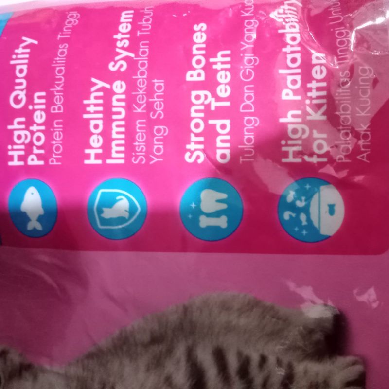 Cat Choize Wimilk Kitten Paket 5kg All Varian | catfood makanan kucing anakan murah
