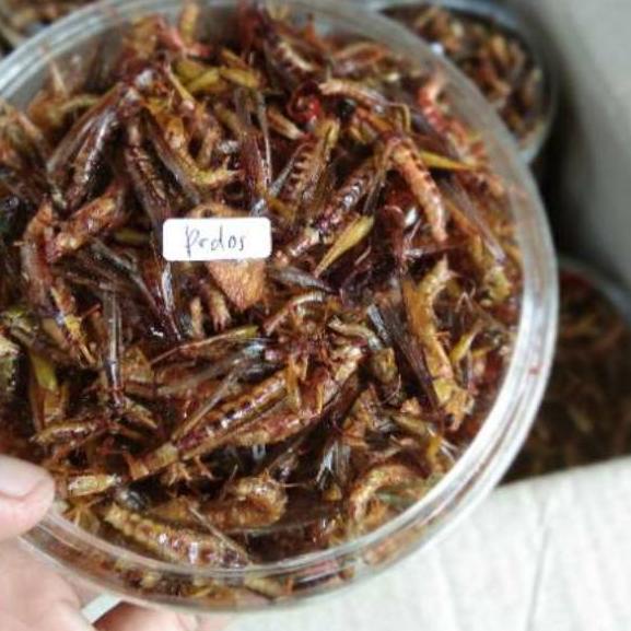 

ADK4-8HAI1 ⭐⭐⭐⭐⭐ COD / BELALANG GORENG/WALANG GORENG BESAR BEST SELLER Jual Produk Ori