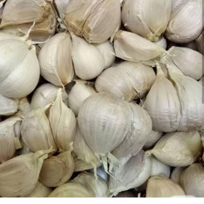 

Terlaris Bawang putih Kating grosir