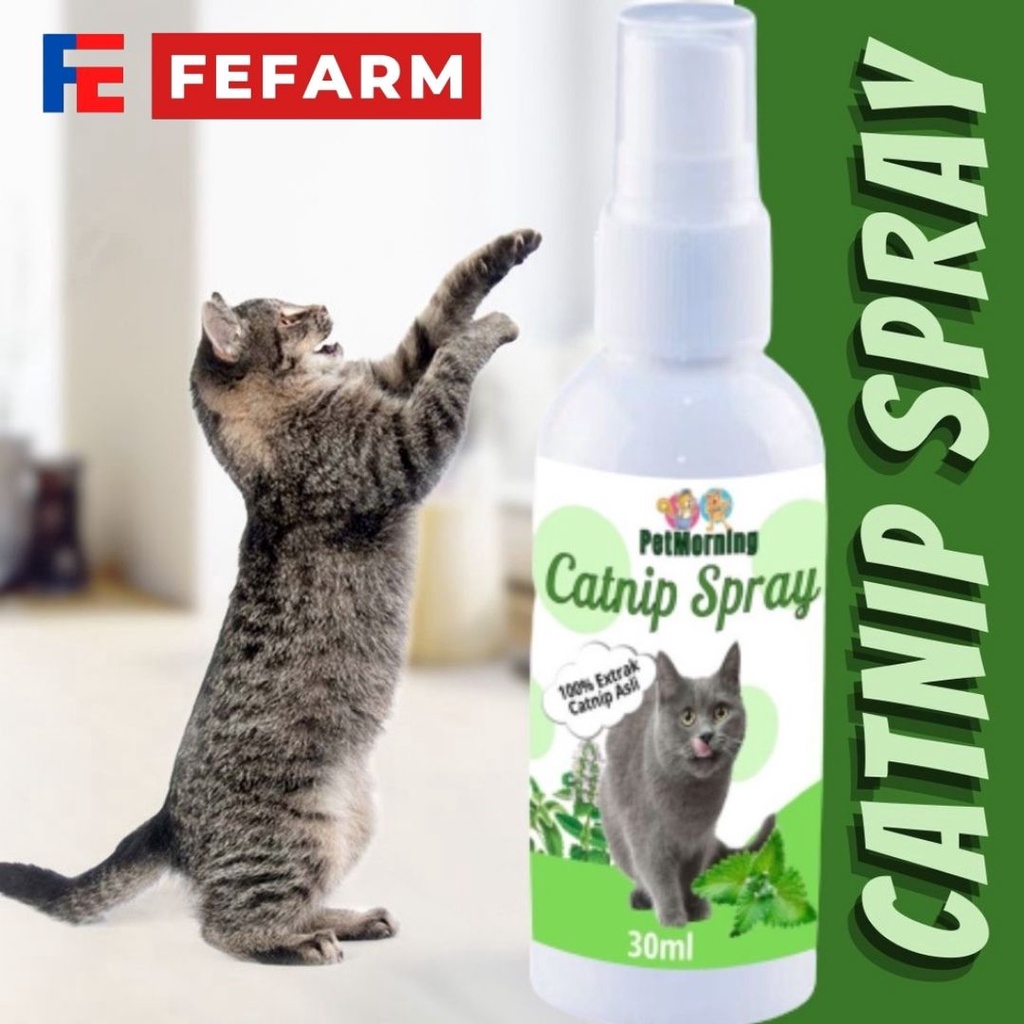Anti Setress Kucing Catnip Cat Spray Semprot Cair Natural alami Toys Kucing 30ml FEFARM