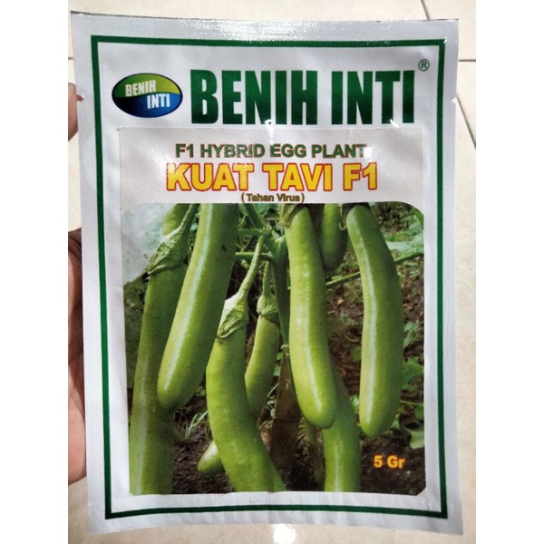 Benih Terong Hijau KUAT TAVI F1 5 Gram Benih Inti - Bibit Terong Ijo KUAT TAVI