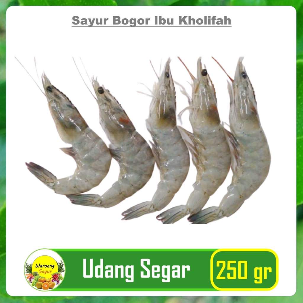 

Udang Vaname Segar Gratis Kupas Kulit 250 Gram Ikan Segar Bogor