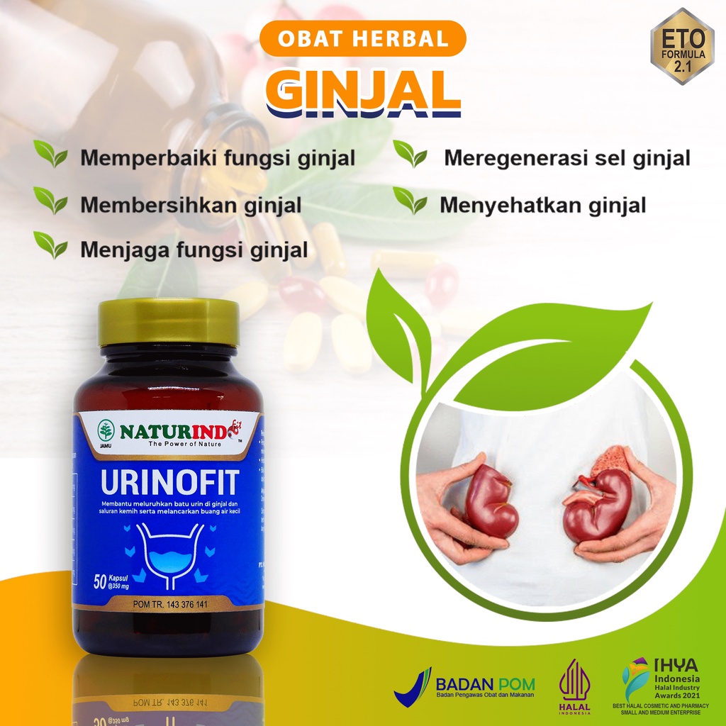 Obat Ginjal Pembersih Saluran Kencing Detox Ginjal Gagal Ginjal Vitamin Ginjal Bocor Urin Berbusa He